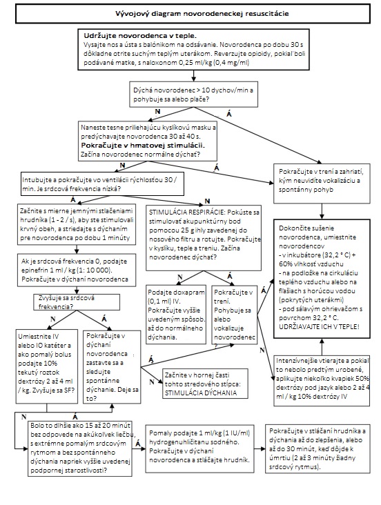 Vývojový diagram novorodeneckej resuscitácie (c) Department of Clinical Studies, School of Veterinary Medicine, University of Pennsylvania, Philadelphia, PA 1914, USA